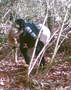 stewartb