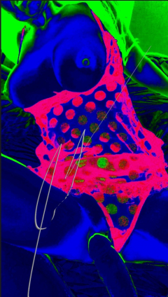 jaxxx13