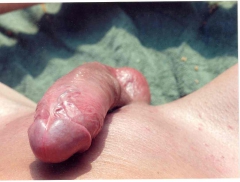 boy wanking cum