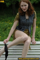 Park bench pee