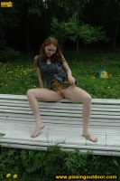 Park bench pee
