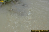 Pissing outdoor blone on old road