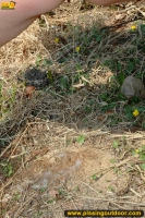 Outdoor pissing on the dry grass on a pond shore
