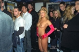 Nude nation 1 