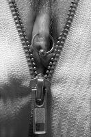Close Up Collection 21