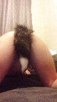 Foxy Plug