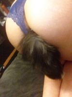 Foxy Plug