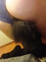 Foxy Plug