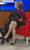 Leggy news chicks