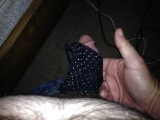 Neices panties 24yo