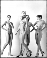 Janas Joie de vivre 231