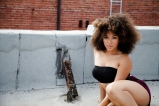 BLACK BEAUTIES VOL.22