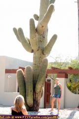 ftv girls excited girls ftvgirls