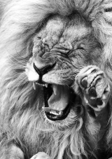 MYcreative work 100%