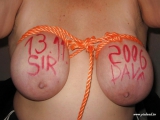 Bdsm (web found)