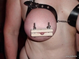 Bdsm (web found)