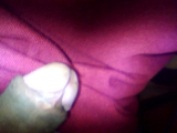 cock