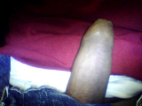 cock