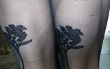 Black feet