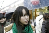 Erika toda