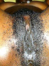 black pussy s
