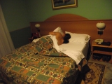 my in hotel