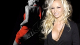 Blonde Big-tits Playboy Celebrity Model Pamela Anderson