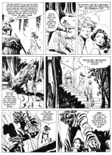 COMICS - SUPERHEROINES