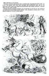 COMICS - SUPERHEROINES