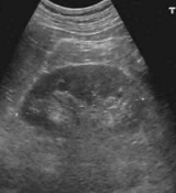 getting a sub to breed