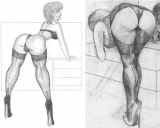 Booty Cartoon Fantasies