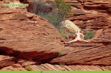 Nature nude photos