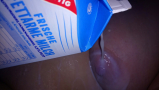 meine fette Lustsau