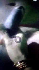 My desi indian wife sex messege big cock 2