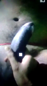 My desi indian wife sex messege big cock 2