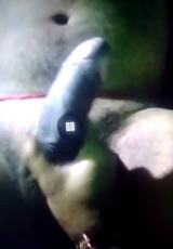 My desi indian wife sex messege big cock 2