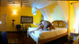 Porn Casting in Africa with pornstar Namica Noir