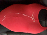 Sexy Red ARENA Swimsuit Cum