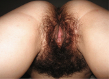 Sexy woman and hairy pussy 6
