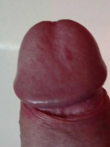 Meine PENIS SCHWANZ BILDER IM INTERNET