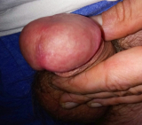 Meine PENIS SCHWANZ BILDER IM INTERNET
