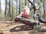 nat092 se donne du plaisir nu dans la nature