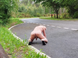 je suis nu sur la route