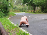je suis nu sur la route