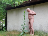 je suis nu dans la nature