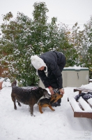 So winter has arrived,