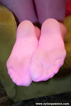 Color pantyhose - N