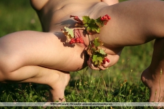 Redberries - N