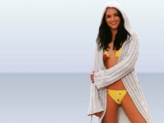 Hot Celebrity Babe Rachael Leigh Cook - N