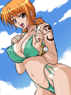 One Piece Hentai - N